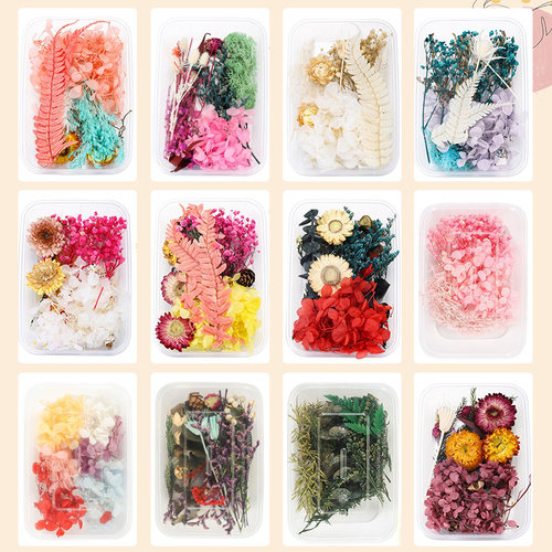 干花永生花压花手工材料包