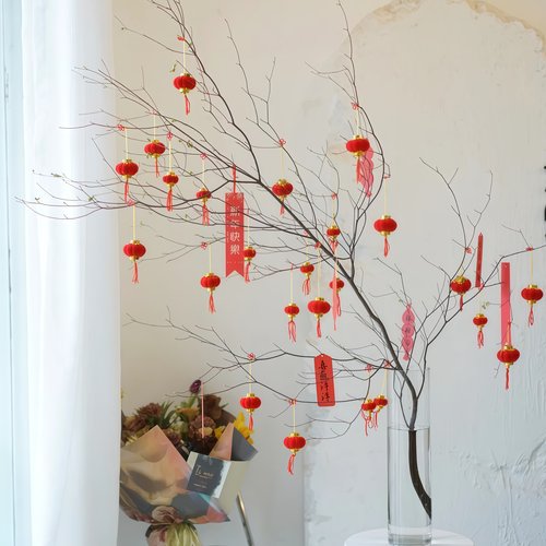 2026年小红灯笼过年庭院植绒红色户外室内灯笼串挂件春节氛围挂饰