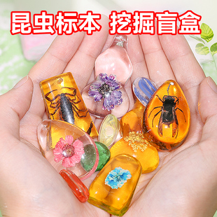 石琥珀昆虫标本盲盒考古挖掘玩具挖宝恐龙化石男孩挖宝藏敲石膏