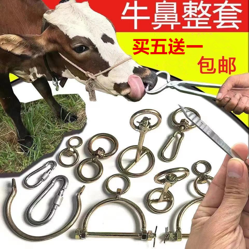 畜牧养殖牵引扣牛鼻子