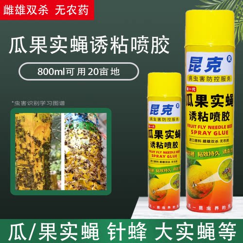瓜果实蝇诱粘剂果蝇诱捕器黏胶柑橘果树园灭针蜂金苍蝇虫引诱喷剂