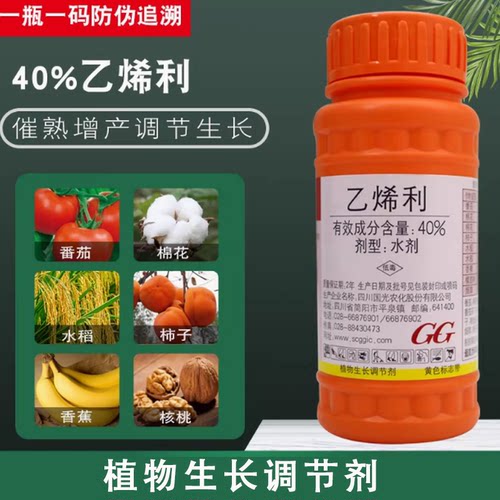 国光乙烯利水果催熟剂