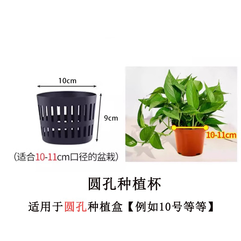 【1元种植杯+育苗袋】【10个起拍】