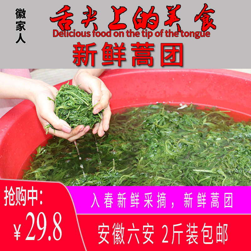 新鲜蒿子团安徽六安手揉蒿子团蒿子粑粑青团原材料野生白蒿子嫩头