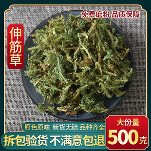 中药材 野生伸筋草 正品 泡脚 另售远志益智仁舒筋草 500克 包邮