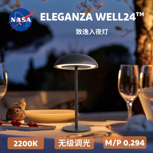宇极2200K入夜灯IP65防水氛围灯