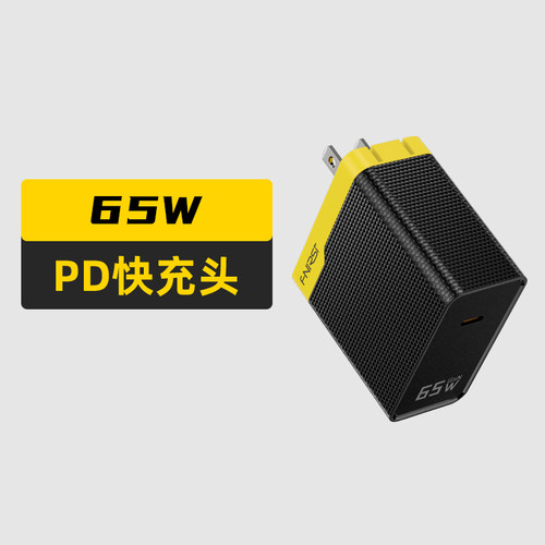 FNIRSI100W双口充电器充电宝