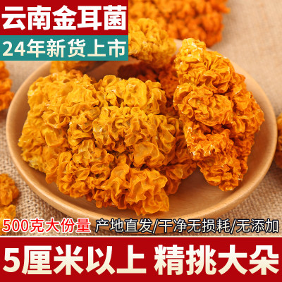 【24年新货】云南特级金耳菌500g