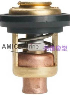 恒温器适用于雅马哈Yamaha 9.9 15 25 30 40 55 HP 6F5-12411-01