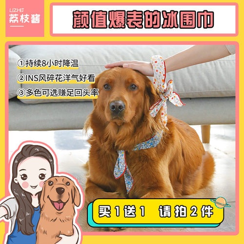 荔枝宠物夏季降温户外解暑