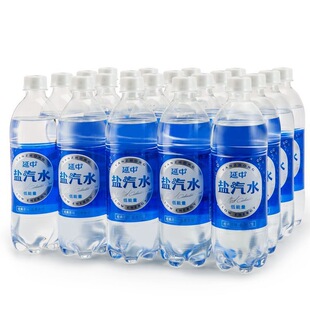 上海延中盐汽水600ml*20瓶整箱塑包碳酸饮料咸味批发团购夏季饮品