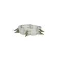 Transparent Color Rivet Style