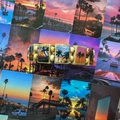 A Piece of Wood Color Coconut Tree Sunset Style