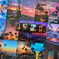 Coffee Brown Coconut Tree Sunset Style - Single