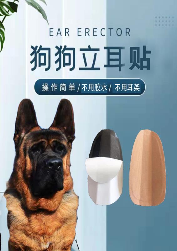 新一代立耳貼耳夾測試推薦