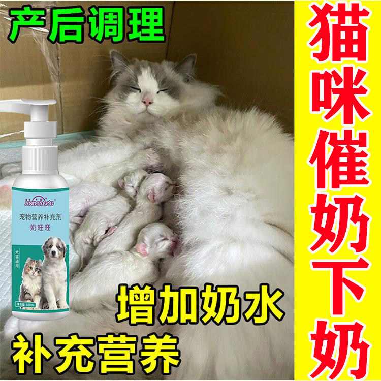 母猫咪催奶下奶神器产后没奶孕猫催奶催乳母猫狗宠物营养补充剂C