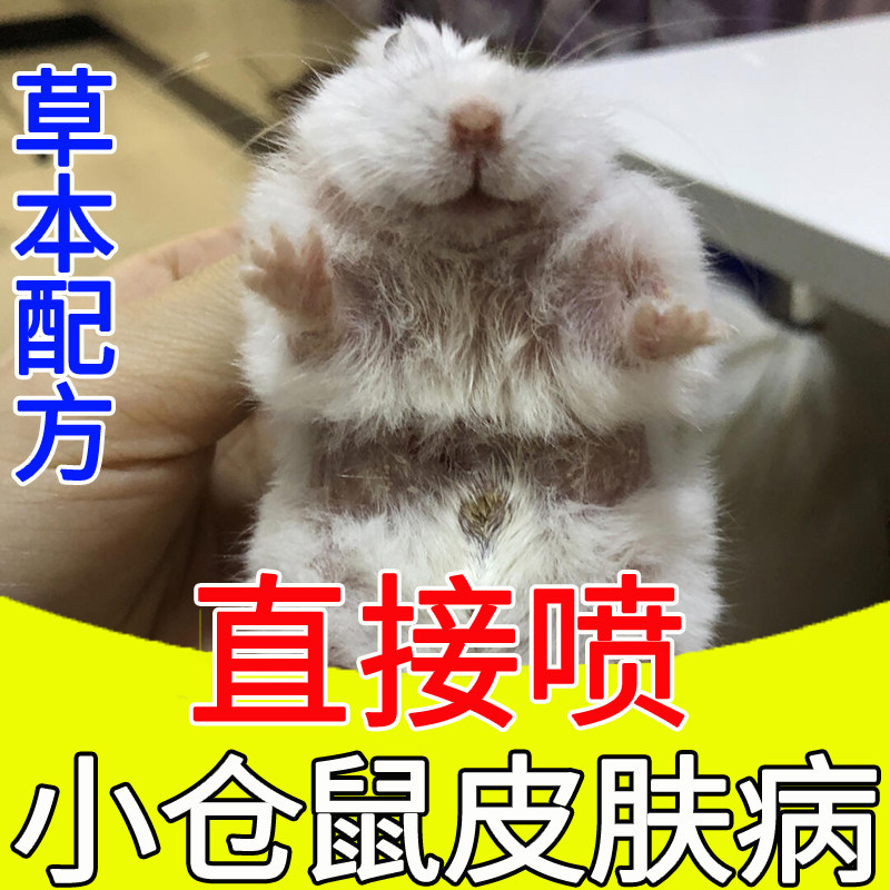 仓鼠皮肤综合病喷雾专用宠物仓鼠掉毛皮癣皮肤病感染仓鼠皮肤喷雾