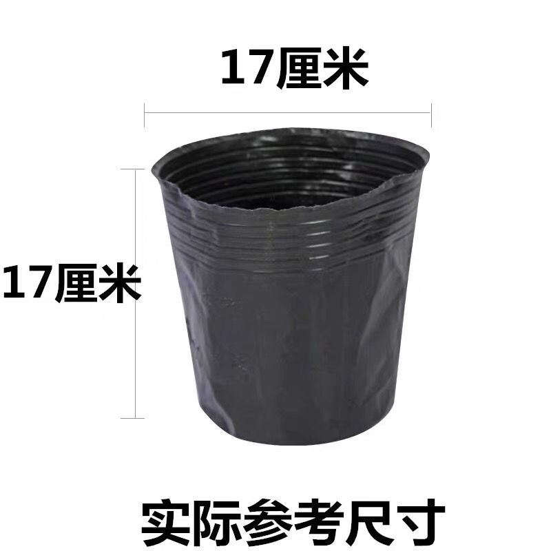 营养钵营养杯荷花杯育苗盘苗袋一次性花盆穴盘育 Изображение 1 营养钵营养杯荷花杯育苗盘苗袋一次性花盆穴盘育 Изображение 1