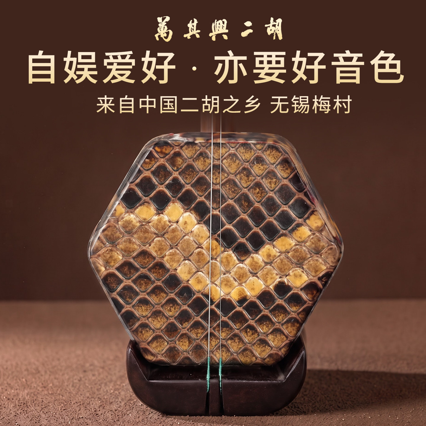 万其兴二胡乐器初学者入门老年人小学生考级二胡十大名牌厂家直销