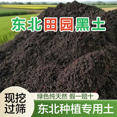 优质田园土黑泥土盆栽通用营养土