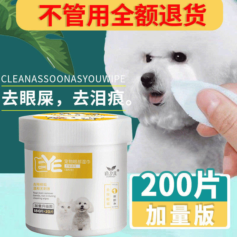 宠物猫咪狗狗小狗泰迪比熊用品
