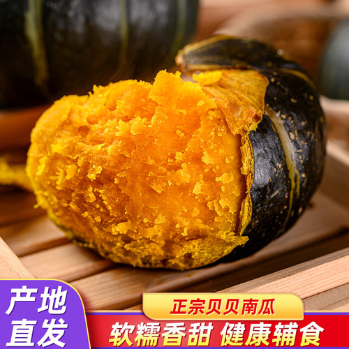 贝贝南瓜板栗味粉糯香甜婴儿辅食