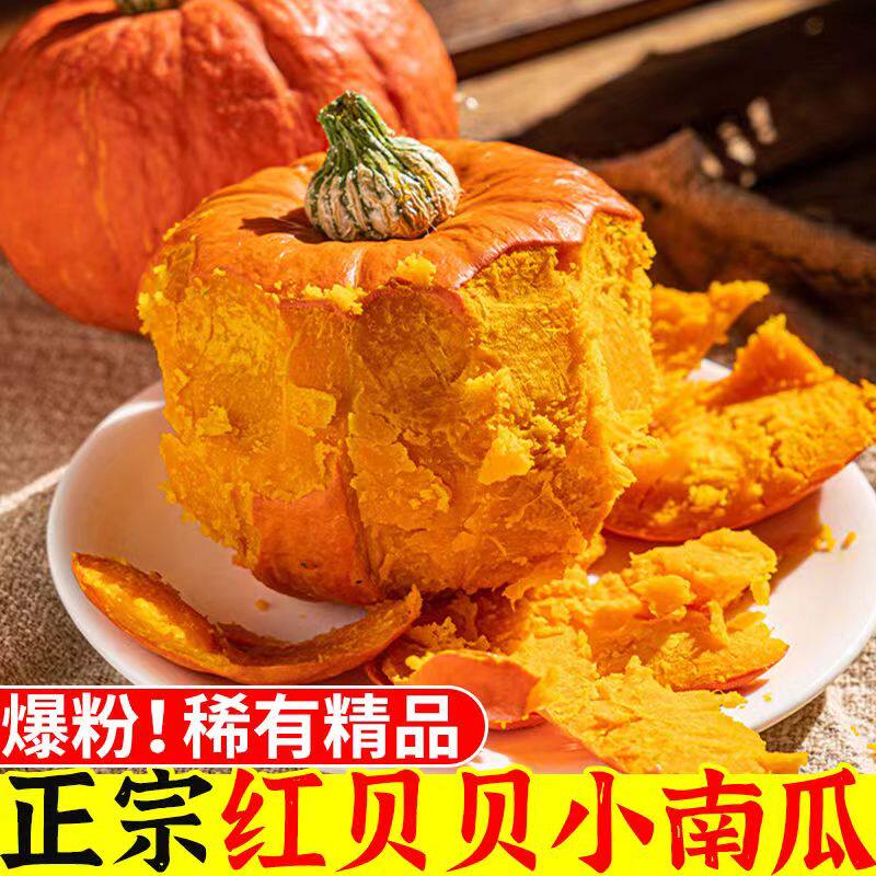 正宗日本红贝贝小南瓜现摘老熟惠和金粉一号面甜金贝贝婴儿辅食瓜