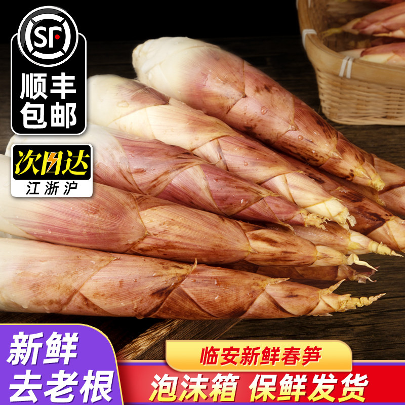 春笋新鲜现挖竹笋临安天目雷笋鲜笋腌笃鲜雷竹笋油焖笋春雷笋