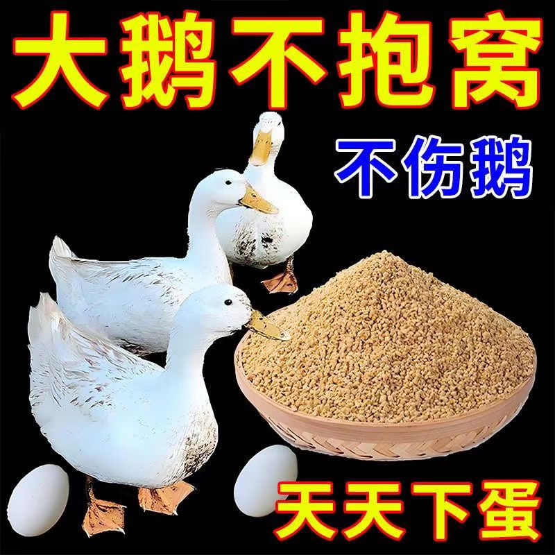 家禽鸡鸭鹅抱窝专用醒抱药