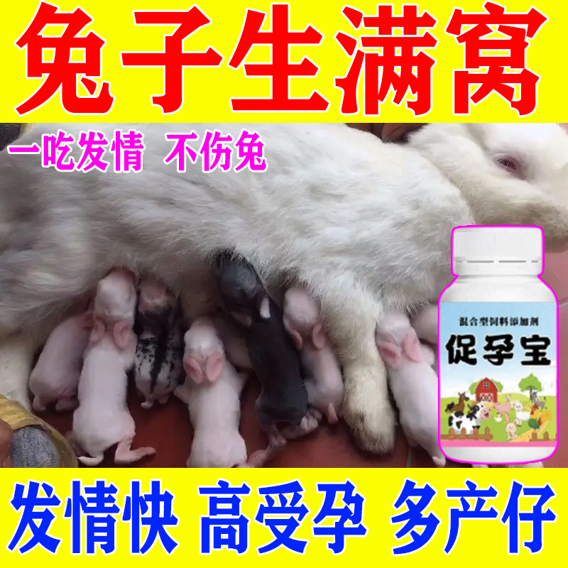 【兔子快速怀孕高产多仔】