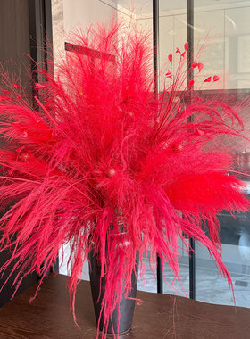 烟花插花搞起来~年宵花第二弹！