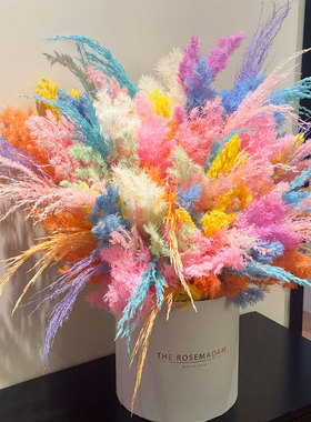 谁还没被这彩色烟花美哭！