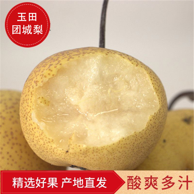 玉田团城梨新鲜酸梨细皮薄皮老式正宗特产整箱净重甜孕妇水果包邮,水产肉类/新鲜蔬果/熟食,梨,淘宝优惠券,粉丝福利购,淘宝优惠卷