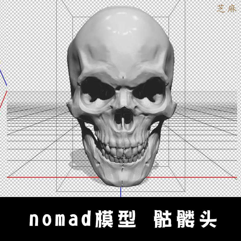 nomad建模模型骷髅头部骨白模c4d/3dmax犀牛blendernomad素材z