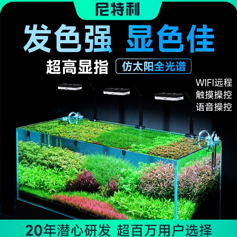 促进水草生长发色水草冒泡专业水陆雨林草灯