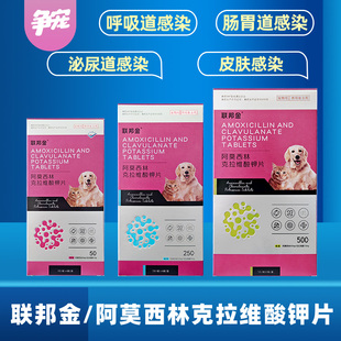 联邦金阿莫西林克拉维酸钾犬猫咪狗打喷嚏消炎感冒药咳嗽泌尿感染