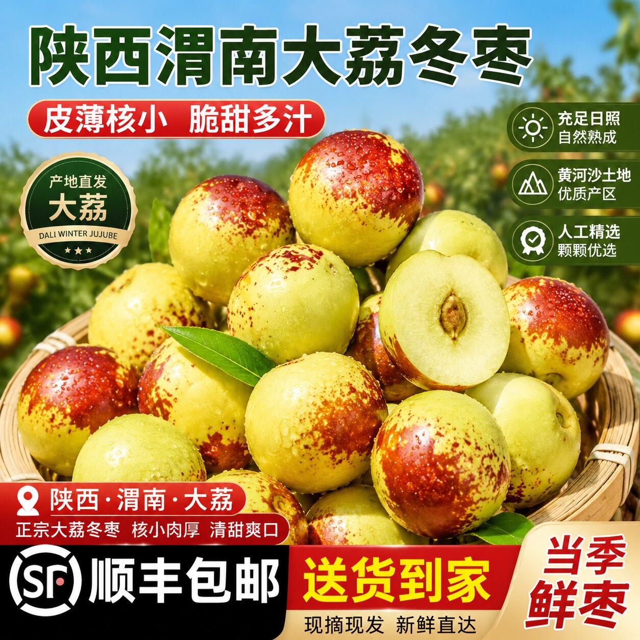 陕西渭南大荔冬枣脆鲜顺丰包邮