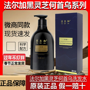 旗舰店/法尔加洗发水黑灵芝何首乌养发正品黑灵芝何首乌精华乳液
