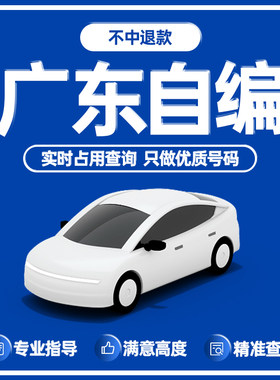 广东广州深圳东莞佛山珠海12123车牌选号新能源车自编自选拍照