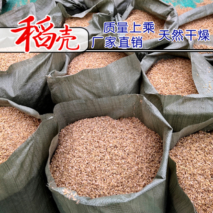新鲜稻壳谷物壳粗糠壳稻壳皮枕芯酿酒垫料枕头填充物肥料10斤包邮