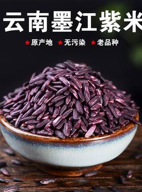 正宗云南墨江紫米紫糯米新米云南特产杂粮紫米食用月子米煮粥粗粮