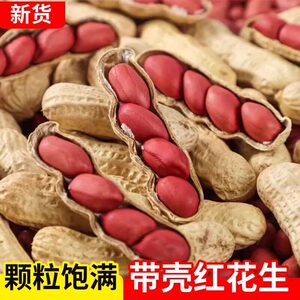 【5斤装】红皮带壳生花生新货薄皮新鲜晒干农家种植花生五谷杂粮