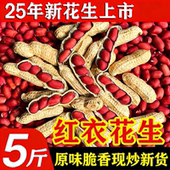 5斤四粒红皮花生带壳生花生东北四粒红花生晒干花生 颗颗饱满