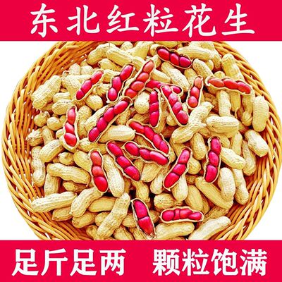 26新红皮带壳花生四粒红东北农家自种红皮花生批发生花生带壳生果