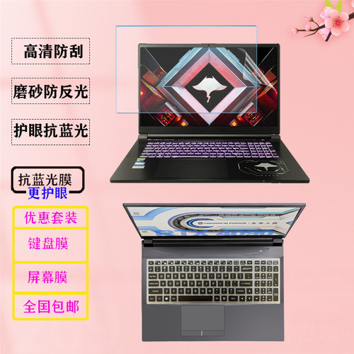 适用17.3寸未来人类魔鬼鱼DR711 X911笔记本X811 DR722电脑防蓝光屏幕膜AMD-3070防尘键盘膜防爆钢化膜防窥膜