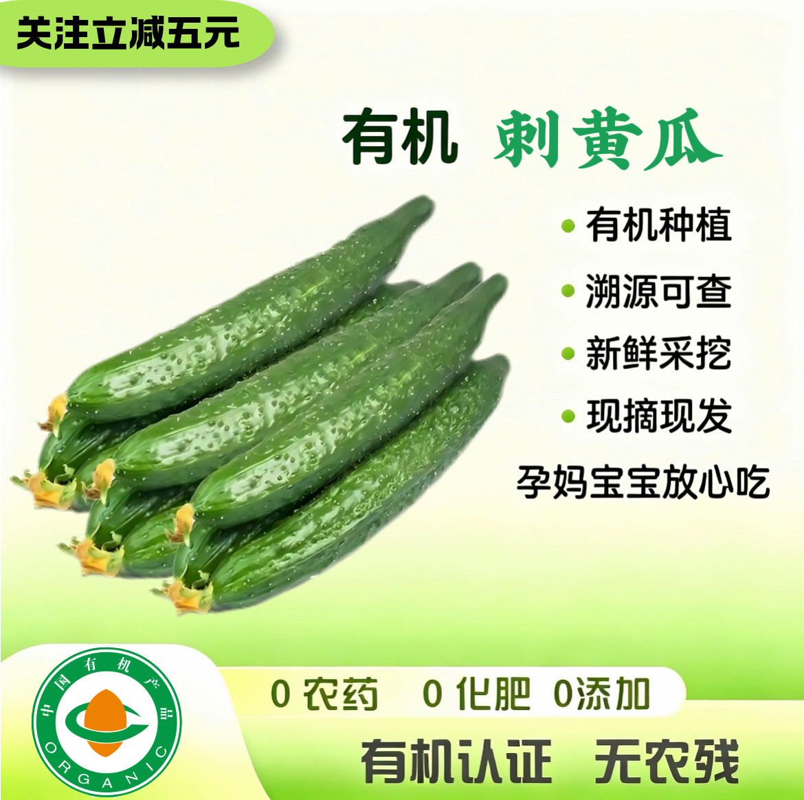 有机刺黄瓜新鲜生吃 有机认证无农残 现摘现发  天然黄瓜清脆爽口