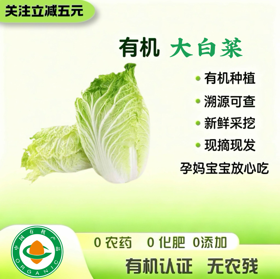 有机认证 有机大白菜新鲜 自然熟无农残农家当季新鲜蔬菜现摘现发