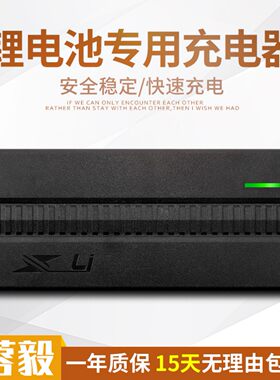 15串63V锂电池充电器阿尔郎8A