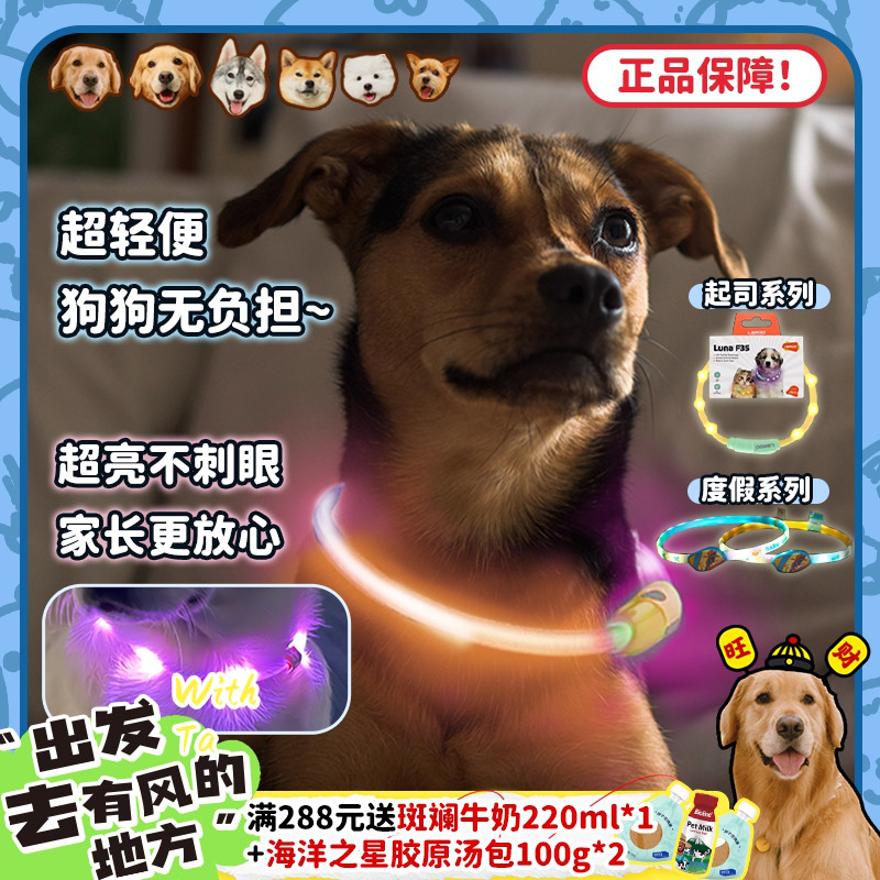 莱诺发光项圈夜间出行防走丢