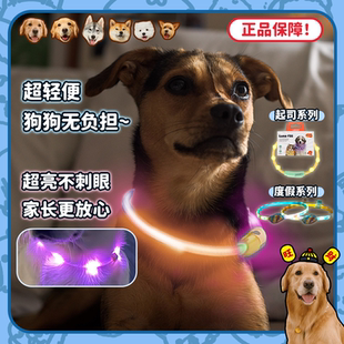 【旺财】laroo莱诺 宠物狗 发光项圈 夜行灯防丢失 户外遛狗 泰迪